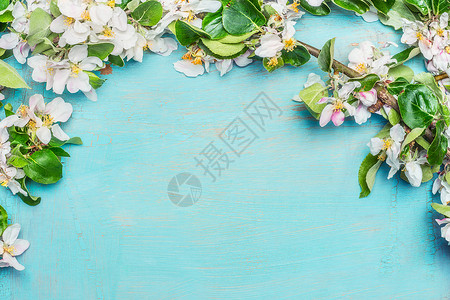 蓝色浪漫边框白色的春天花蓝色的绿松石木背景上,顶部的景色,边框春天的背景