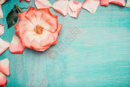 玫瑰线禁止进入粉红色苍白的玫瑰,花瓣蓝色的绿松石背景上,顶部的景色爱,浪漫情人节的背景