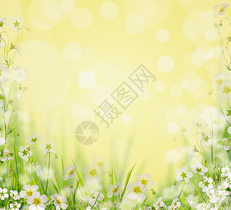 草与白花模糊的自然背景,花的边界图片