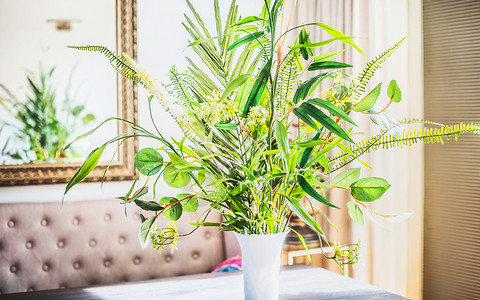 美丽的绿色与各种植物叶子花瓶房间背景家庭内部装饰图片