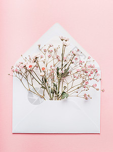 打开信封,粉红色背景上鲜花安排,顶部视图节日问候的图片
