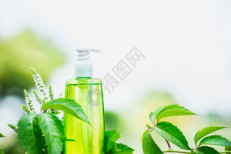 绿色化妆品瓶与绿叶自然背景,正视图天然化妆品,图片