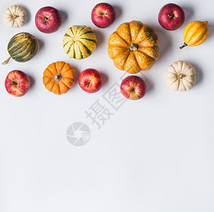 各种五颜六色的小南瓜苹果浅色背景上秋天与南瓜,边境作曲图片