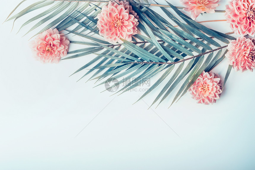 创意布局与热带棕榈叶淡绿色蓝色桌背景上的粉彩花图片