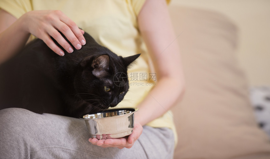 目全非的女人家喂她的黑猫图片