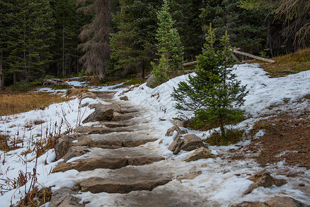 洛基山公园,条雪覆盖着徒步旅行的小径高清图片