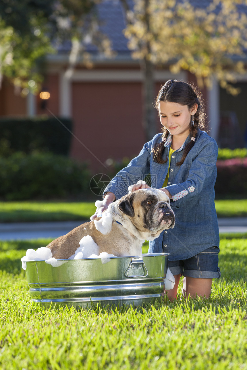 小女孩外的金属浴缸里洗她的宠物狗,只斗牛犬图片