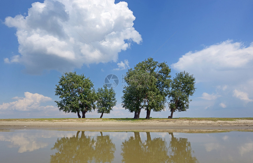 多瑙河上云层树木的反射图片