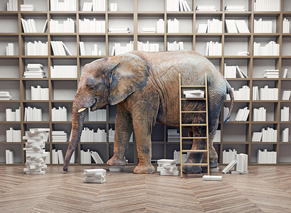 房间里书架的大象创造的背景图片