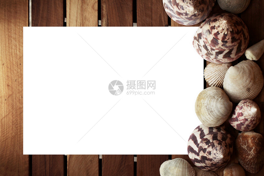 带贝壳的白纸白色白纸与贝壳粗糙的木制木板图片