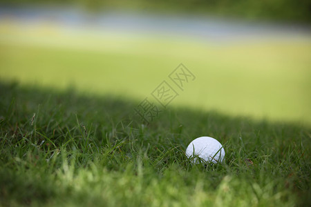球场上的高尔夫球球场上的高尔夫球图片