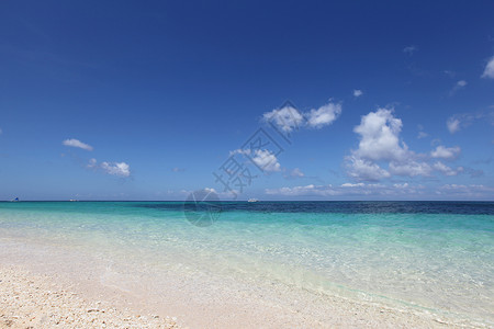 海滩热带海洋阳光明媚的日子里菲律宾的海滩热带海洋图片