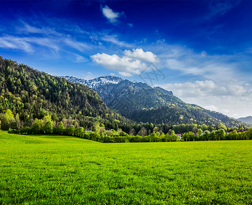 巴伐利亚阿尔卑斯山的高山草甸巴伐利亚,德国图片