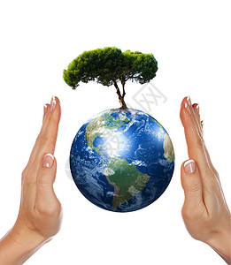 手,们的地球树环境保护的象征图片