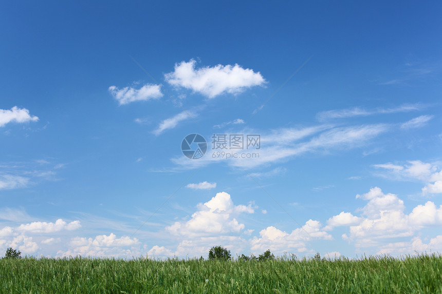 绿色草甸蓝色晴天的夏季景观图片