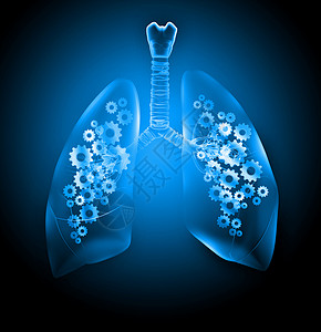 人类的肺机制的人肺健康医学背景图片
