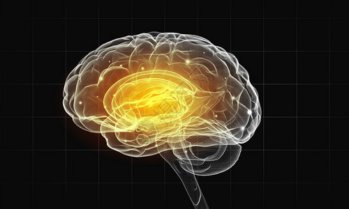 黑色背景下人脑的人类智力人类的大脑背景图片