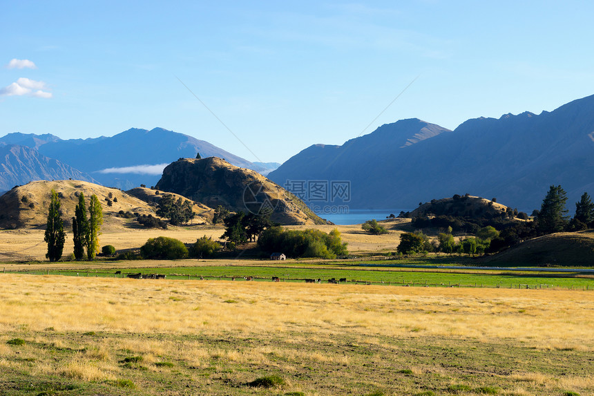 风景如画新西兰阿尔卑斯山田野的自然景观图片