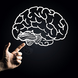 人类的头脑人类的手用手指指向大脑图标图片