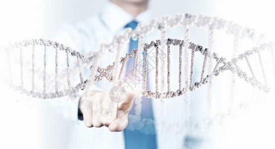 生物化学研究人类触摸DNA分子的科学图像图片