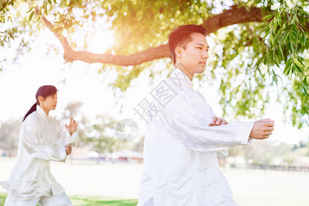 人们公园练泰拳人们夏天公园练太极拳背景图片