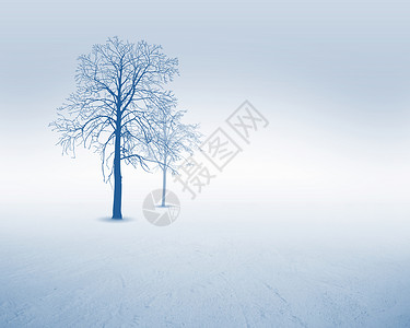 白色背景上白色雪树的图像背景图片