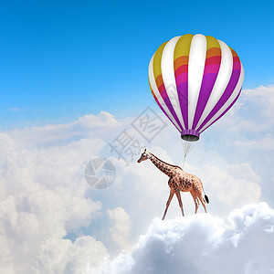 会飞的长颈鹿长颈鹿五颜六色的飞机上高高地飞翔图片