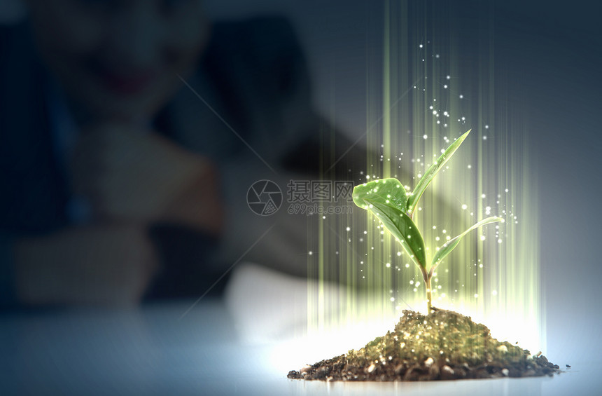 轻的植物生命过程商业生态轻的绿色萌芽图片