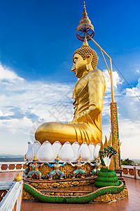 佛陀雕像美丽背景的佛像图片