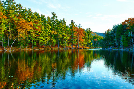 美国新罕布什尔州白山森林池塘背景