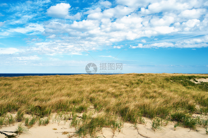 美国马萨诸塞州科德角沙丘景观图片