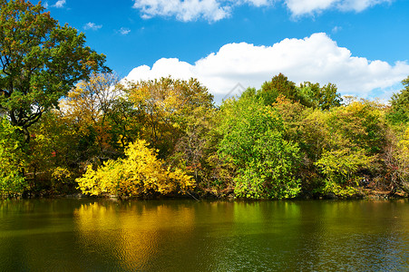 秋天的纽约市中央公园图片