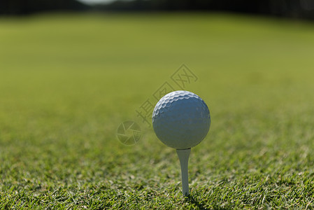 高尔夫球球美丽的球场与新鲜的绿色草图片