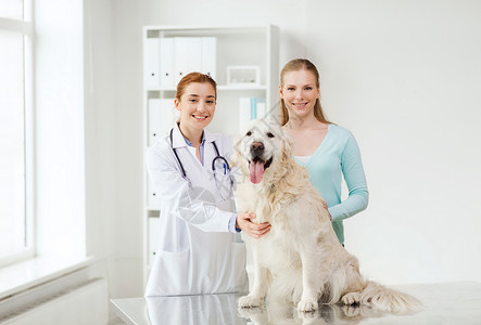 医学,宠物,动物,保健人的快乐的女人与黄金猎犬兽医医生兽医诊所图片