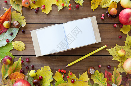 自然季节灵感记忆用铅笔木桌上的秋叶水果浆果的框架内,把空的便笺簿收来图片