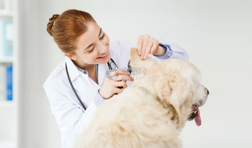 医学,宠物,动物,保健人们的快乐的兽医医生与耳镜检查黄金猎犬狗耳朵兽医诊所图片