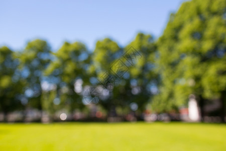 自然景观背景环境模糊的夏季田野树木蓝天图片