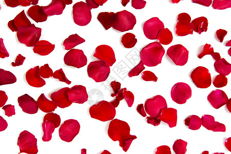 爱情,浪漫,情人节假期的红玫瑰花瓣图片