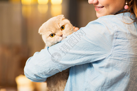 宠物,动物,护理人的亲密的快乐女人抱着苏格兰折叠小猫家里看高清图片素材