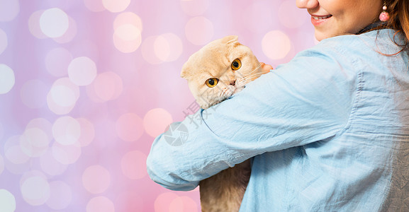 宠物,动物,护理人的亲密的快乐女人抱着苏格兰折叠小猫粉红色的节日灯光背景照顾高清图片素材