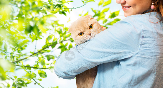 宠物,动物,护理人的亲密的快乐女人抱着苏格兰折叠小猫自然绿色的背景拥抱高清图片素材