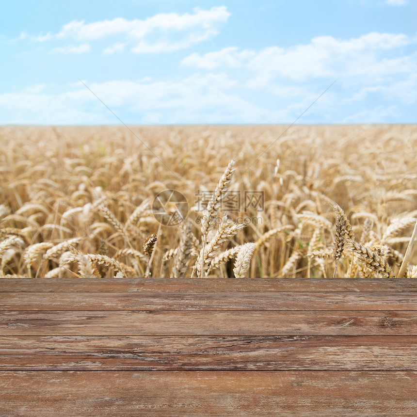 农业,谷物,土地种植纹理成熟的小麦穗黑麦穗与木板图片
