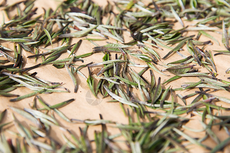 农业制造业工业农业密切茶叶原料干燥高清图片