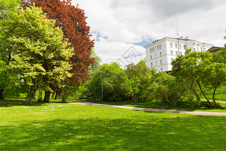 季节,自然环境夏季城市公园与树木绿色草坪图片