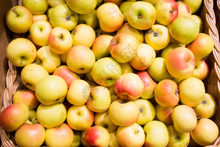销售,农业,收获,农业生态食品成熟苹果篮子生物市场农场图片