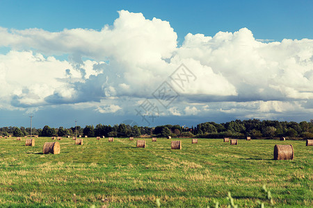 农业,收获,季节自然干草堆干草辊夏季田间背景图片