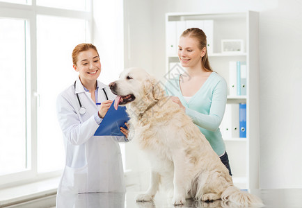 医学,宠物,动物,保健人的快乐的女人与黄金猎犬兽医医生写信给剪贴板兽医诊所图片