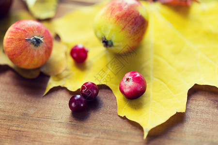 自然,季节,秋天植物学的秋天的叶子,水果浆果木桌上红色高清图片素材
