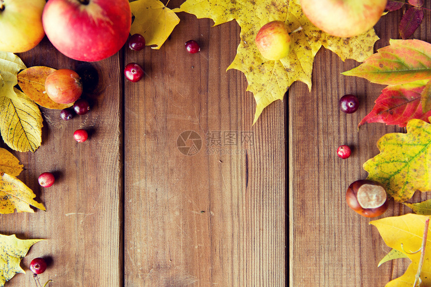 自然季节广告装饰木桌上秋叶水果浆果的框架图片