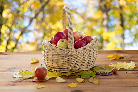 园艺,季节,秋天水果的柳条篮子与成熟的红色苹果树叶木桌上的自然背景图片